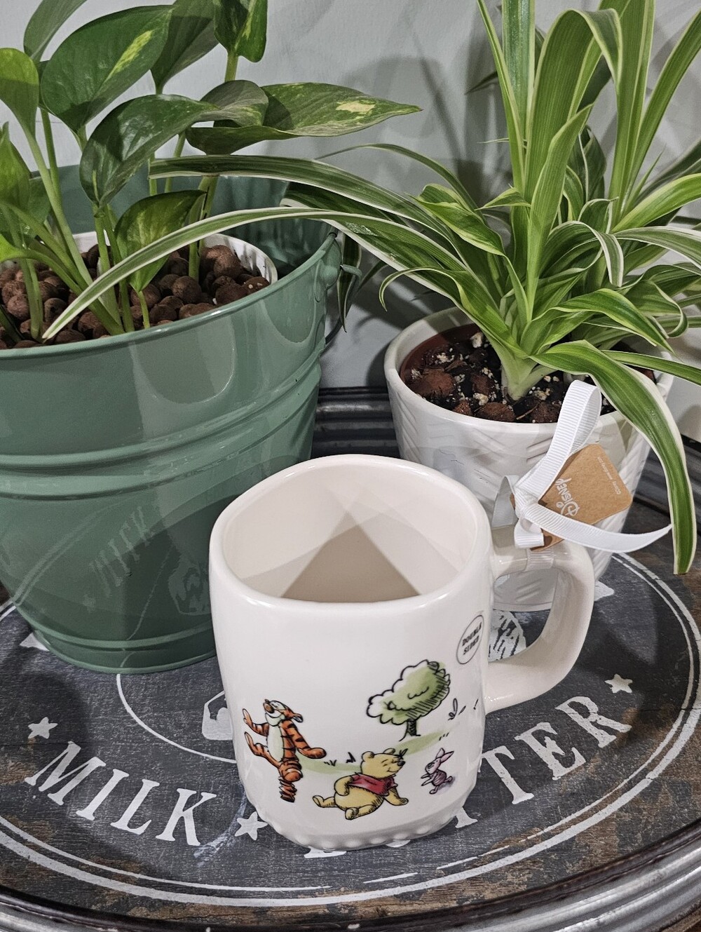 Rae DunnDisney Winnie the Pooh 18oz Mug "Life Is Full of Ups and Downs"
